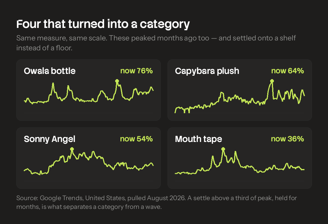 Four search-interest curves that settled onto a plateau instead of falling to the floor